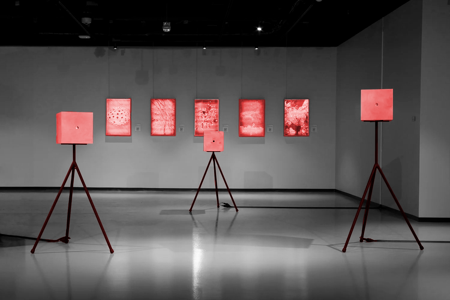 Empty space transformed into art gallery